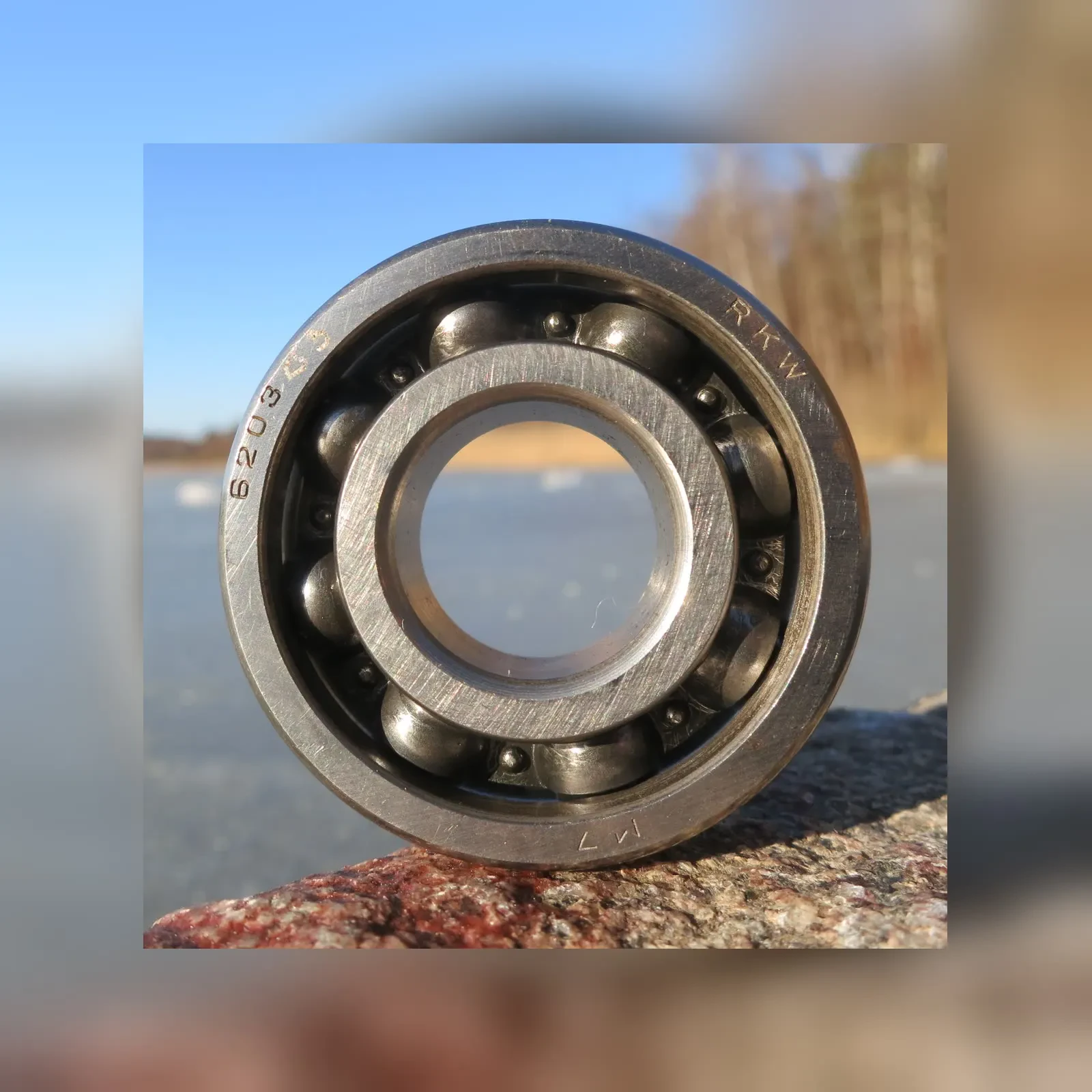 Open single-row deep groove ball bearing showing the balls and cage